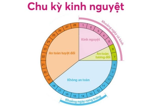 Chu kỳ kinh và thời điểm rụng trứng – Hiểu đúng để tăng cơ hội thụ thai